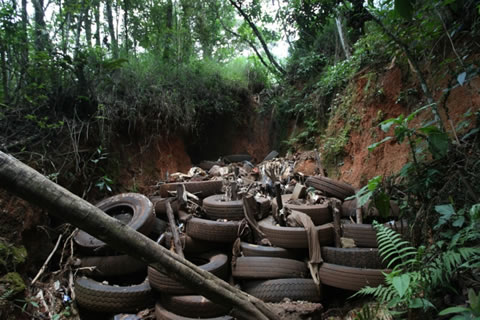 Pneus jogados na área da Estação Ecológica de Fechos, na Serra da Moeda, em Nova Lima